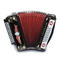 Гармонь Г-12 "Куликово поле", 25х25-III