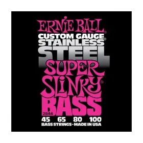 Ernie Ball 2844