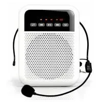 LAudio WS-VA030 Поясной громкоговоритель гида с головным микрофоном