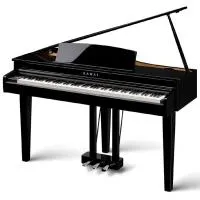Kawai DG30EP Рояль цифровой с банкеткой, 88 клавиш, чёрное дерево, полированный Kawai DG30EP Рояль цифровой с банкеткой, 88 клавиш, чёрное дерево, полированный