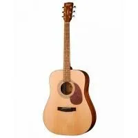 Cort EARTH PACK OP Гитара акустическая в наборе с аксессуарами