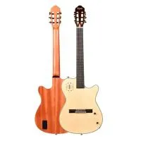 Tayste TS-CG100-N Электроакустическая классическая , 4/4, цвет натуральный