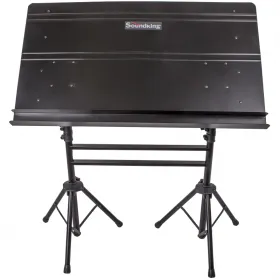 SM300