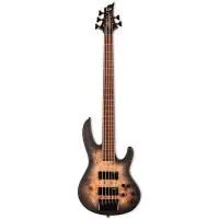 ESP LTD D-5 BP BLKNBS Бас-гитара 5-струнная, цвет Black Natural Burst Satin ESP LTD D-5 BP BLKNBS Бас-гитара 5-струнная, цвет Black Natural Burst Satin