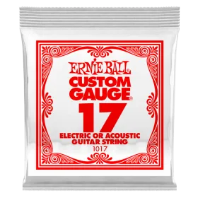 Ernie Ball .017