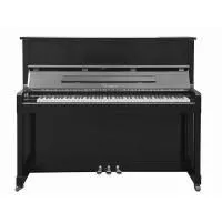 Беларусь B-120B Пианино акустическое, чёрное Беларусь B-120B Пианино акустическое, чёрное