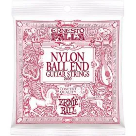 Ernie Ball 2409