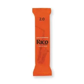 RJA0120-B25