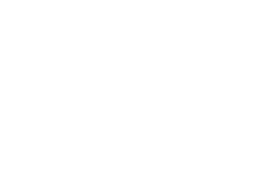 Официальная продукция Trumon Guitars в Новосибирске