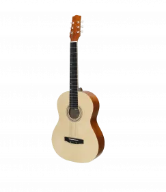 Амистар Н-31