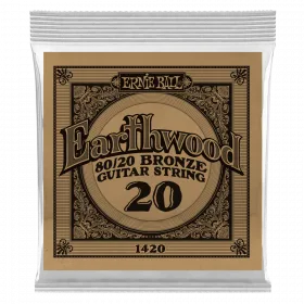 Ernie Ball .020