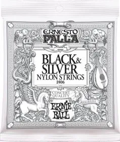 Ernie Ball 2406