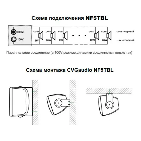 CVGaudio NF5TBL Громкоговоритель настенный