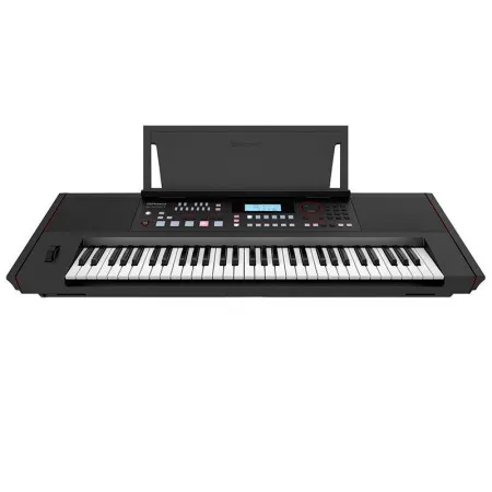 Roland E-X50 Синтезатор с автоаккомпанементом, 61 клавиша