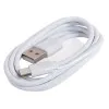 DK iC-30 Комбоусилитель для акустической гитары, 30Вт, портативный