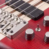 Бас-гитара 5 струн CORT A5 OPBC