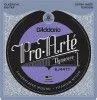 D'Addario EJ44tt