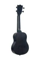 FLIGHT NUS310 BLACKBIRD