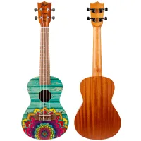 Flight AUC-33 Mansion2