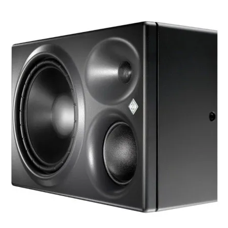 Neumann KH310 ARG Монитор студийный активный  трехполосный , правый