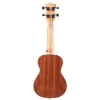 Enya EUT-20 Укулеле тенор с фирменным чехлом в комплекте