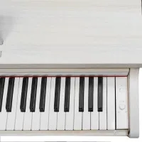 SOLISTA DP200WA Фортепиано цифровое, цвет белый ясень SOLISTA DP200WA Фортепиано цифровое, цвет белый ясень