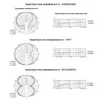 Микрофон Behringer B-2 PRO