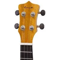 Enya EUS-20 Укулеле Сопрано с фирменным чехлом в комплекте