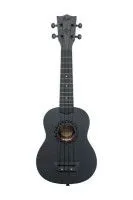 FLIGHT NUS310 BLACKBIRD