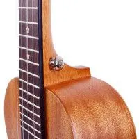 Enya EUS-25D Укулеле Сопрано с фирменным чехлом в комплекте