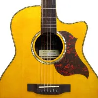 Suolun S-300GA TAG N Гитара трансакустическая 41" Grand Auditorium, цвет натуральный, с чехлом