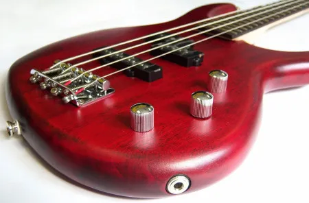 CORT Action PJ OPBC