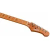 JET JS-250 BK Электрогитара, Stratocaster, 6 струн, цвет черный