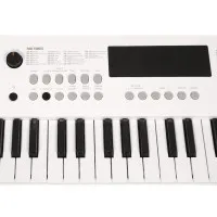 SOLISTA SK49WH Синтезатор 49 клавиш, цвет белый SOLISTA SK49WH Синтезатор 49 клавиш, цвет белый