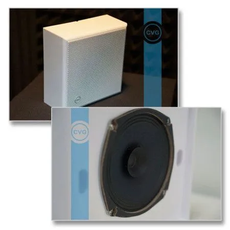 Громкоговоритель CVGaudio WPS6T