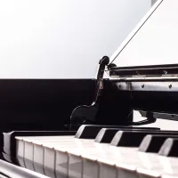 Беларусь B-162B Рояль кабинетный, чёрный Беларусь B-162B Рояль кабинетный, чёрный