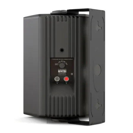CVGaudio NF5TBL Громкоговоритель настенный