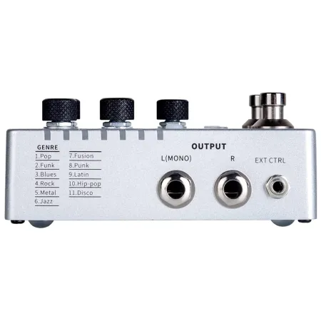 Mooer Groove Loop X2