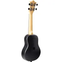 FLIGHT TUS ALYONA SHVETZ