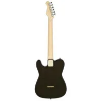 Aria Pro II TEG-002 BK Электрогитара, Telecaster, цвет чёрный