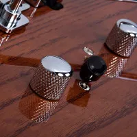 SCHECTER PT VAN NUYS GNAT ASH Электрогитара, 6 струн, цвет натуральный ясень