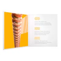 D'Addario XSAPB1256 Набор струн для 6-струнной акустической гитары, размер 12-56
