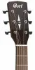 CORT L100-O NS