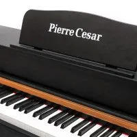 Pierre Cesar DP-500-H-BK Фортепиано цифровое, 88 клавиш Pierre Cesar DP-500-H-BK Фортепиано цифровое, 88 клавиш