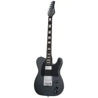 SCHECTER PT EX DORIAN GRAY Электрогитара баритон, 6 струн, цвет Dorian Gray