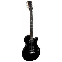TERRIS TLP-045 BK Электрогитара, Les Paul, HH, 6 струн, цвет черный