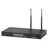 LAudio RWS-HHD Радиосистема вокальная, 2 ручных микрофона