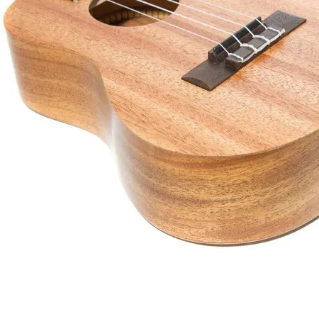 NALU N-520C Укулеле концерт с чехлом в комплекте