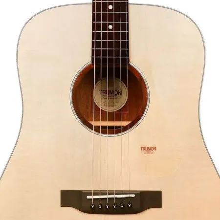 Trumon 150D Гитара акустическая 41" Dreadnought с чехлом,  цвет натуральный