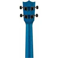 Flight AUC33 City Укулеле концерт, Elise Ecklund, серия Art, с чехлом